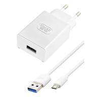 Subzero SG58 2.4A Micro Şarj Seti 12W