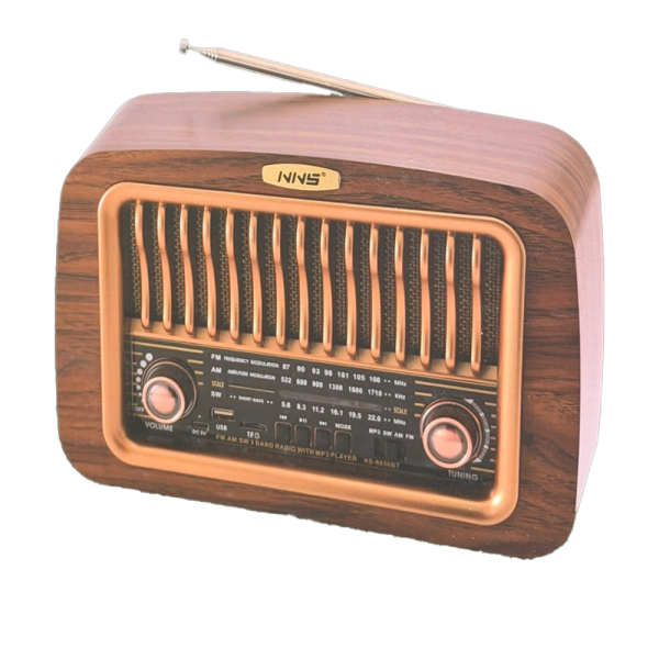 Bayrox NNS-6656BT FM Speaker 