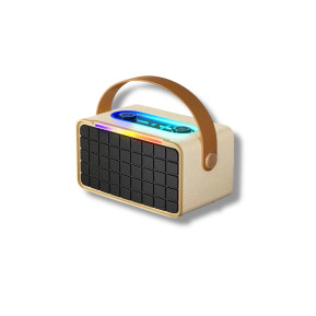 Party200 Mini Wireless Speaker 