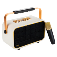 Blueseed BS-609 Karaoke Speaker I Kablosuz Mikrofonlu 