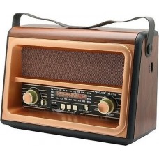Golon RX-BT89 Fm / Wireless Speaker 