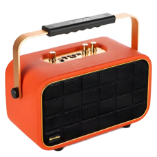 Blueseed BS-609 Karaoke Speaker I Kablosuz Mikrofonlu 